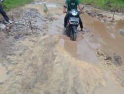 Akses Jalan Utama Rusak Parah, Warga Desa Sungai Ara Minta Perhatian Bupati Pelalawan