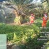 Sekda Pelalawan Melalui Kalaksa BPBD Pelalawan Apresiasi KLK Group PT ADEI Plantation & Industry Nilo Complex,PT SWP Ladang Mutiara dan PT Safari Riau