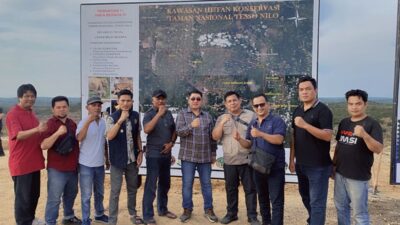 Ketua Pengarah Satgas PKH Tinjau Kawasan TNTN besok